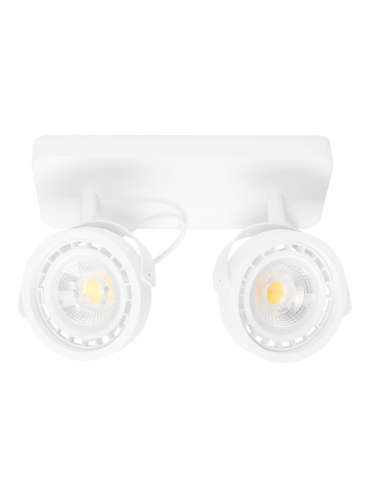 Dice-2 DTW Spot Light White  1