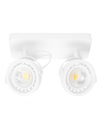 Dice-2 DTW Spot Light White  1