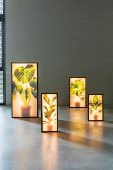 Grow Floor Lamp M 1