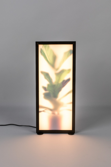 Grow Floor Lamp L 2