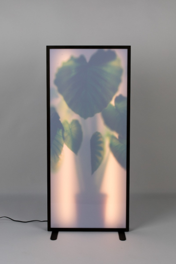 Grow Floor Lamp XXL 1