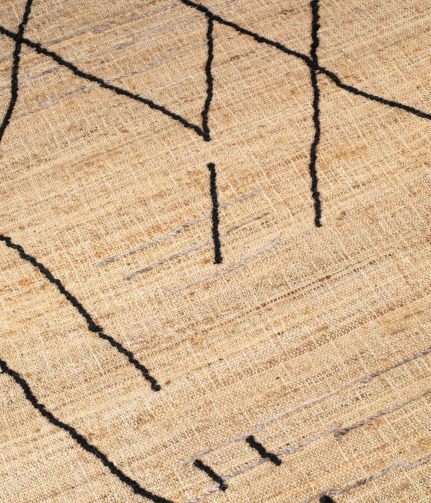 Ishank Carpet 170X240 1