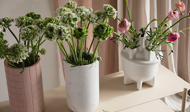 Bloom into Spring