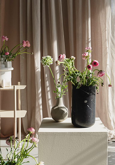 Bloom into Spring