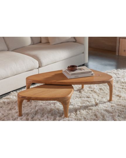 Isla coffee table set of 2 Front